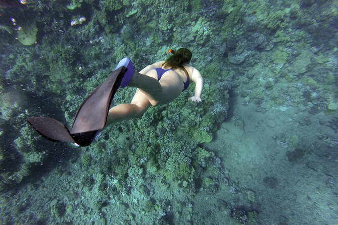 Snorkelling tours to Daymaniyat island - The boat ride and what is provided