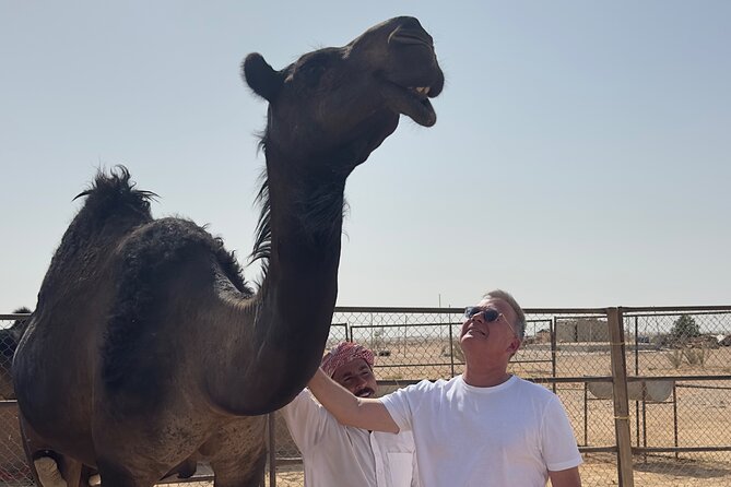 Sunset desert safari Salalah with Dinner in a Bedouins camp - The Empty Quarter at its most dramatic