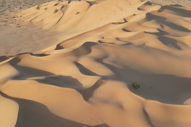 Sunset desert safari Salalah with Dinner in a Bedouins camp - How the $150 price works out