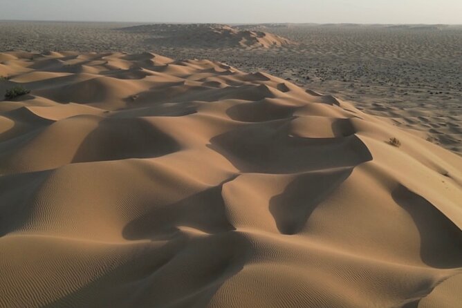 Sunset desert safari Salalah with Dinner in a Bedouins camp - Timing, comfort, and who should book