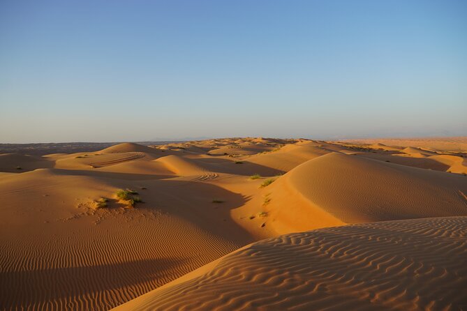 Sunset in Wahiba Sands 4x4 Adventure - Starting at Al Mintarib Castle in Bidiyah