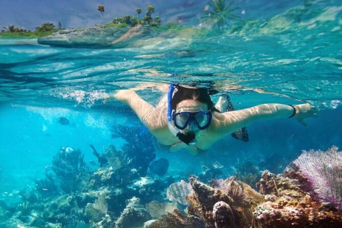 The Jewel of Muscat Sea, Daymaniyat Islands - Snorkeling among coral, fish, and turtles