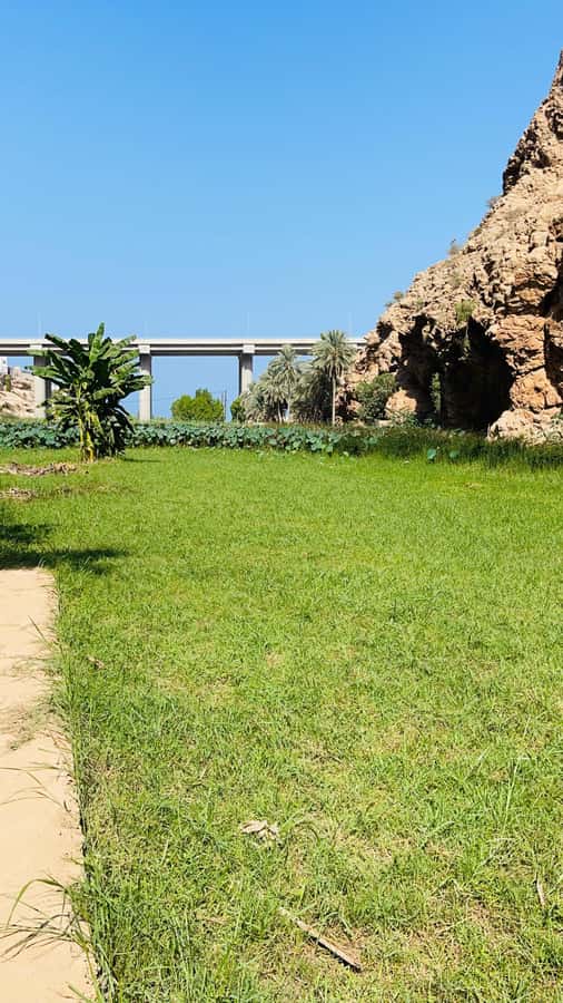 Wadi Shab Parking Meet the Local Guide for Self drivers - Key points before you book