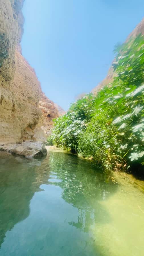 Wadi Shab Parking Meet the Local Guide for Self drivers - First pools, photographs, and time to adjust