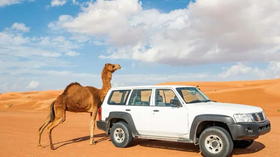 Wahiba Sand and Wadi Bani Khalid Guided Group Tour - From Muscat to Oman’s eastern desert