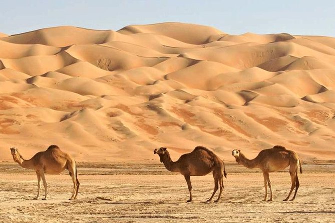 Wahiba Sands and Desert Safari from Muscat - What the $135 price really covers