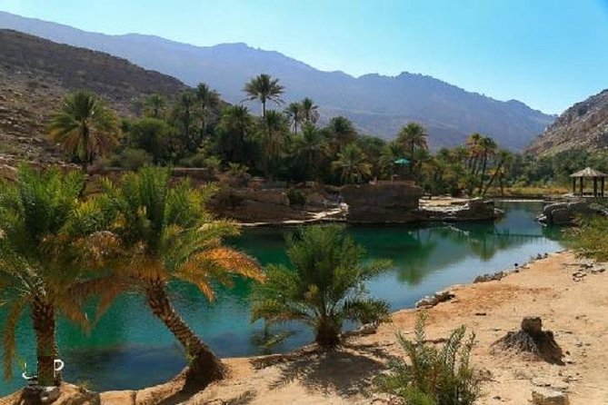 Wahiba Sands And Wadi Bani Khalid - Meeting a Bedouin family in the desert