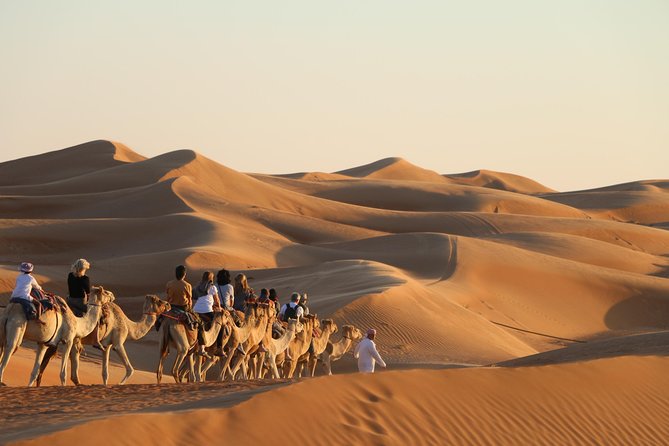 Wahiba Sands Safari with Wadi swimming and Camelride - Wahiba Sands in the afternoon sun