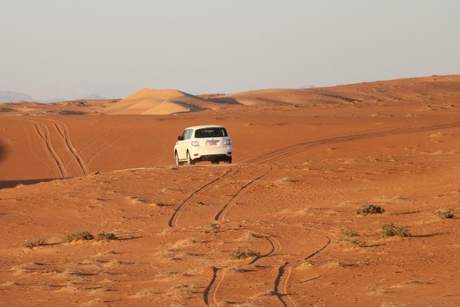 Wahiba Sands Safari with Wadi swimming and Camelride - Who will enjoy this day most