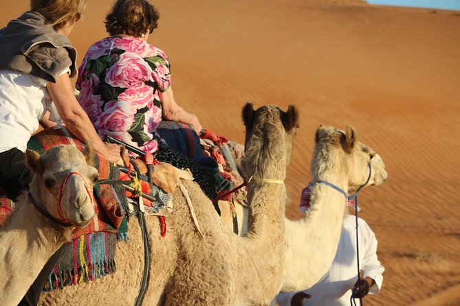 Wahiba Sands Safari with Wadi swimming and Camelride - What a 7:00 am start means