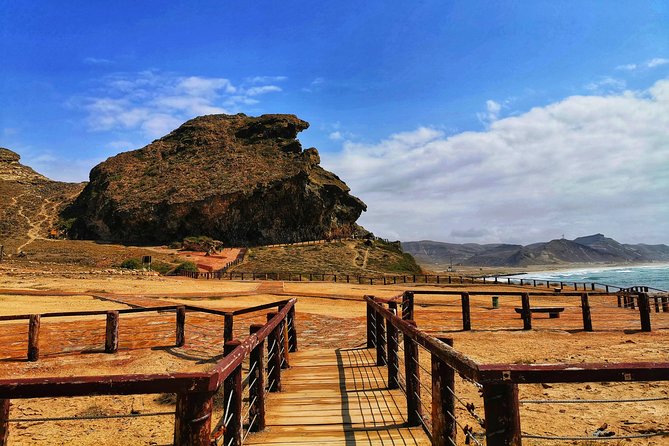 West Salalah, Al Mughsail Beach, White Beach, Frankincense Tree (Half day Tour) - Why West Salalah works well as a half-day trip
