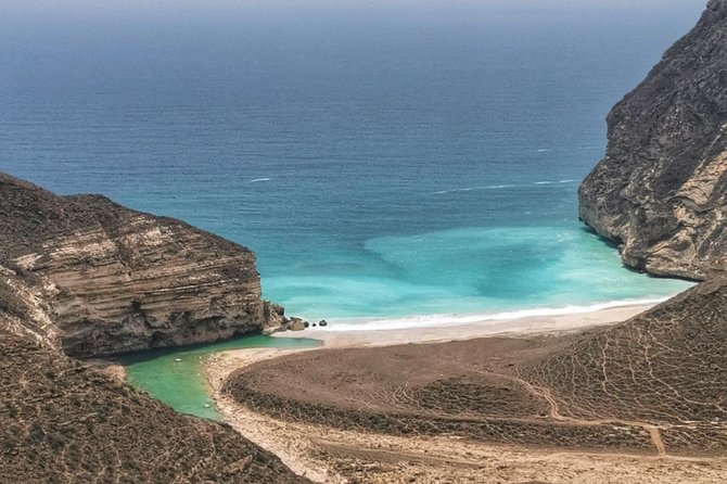 West Salalah, Al Mughsail Beach, White Beach, Frankincense Tree (Half day Tour) - Frankincense trees growing in the wild