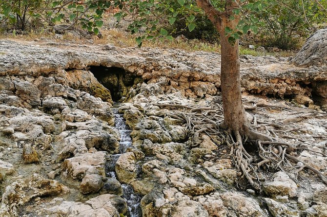 West Salalah, Al Mughsail Beach, White Beach, Frankincense Tree (Half day Tour) - What the private vehicle adds to the experience