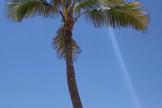 West Salalah Beaches and Blowholes - Is $80 a fair price?