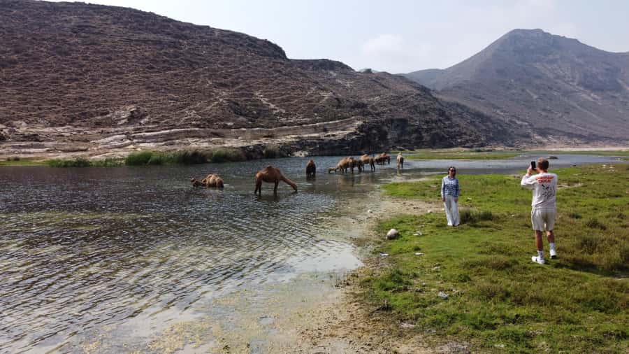 West Salalah Highlights: Coastal Wonders & Scenic Views - The Zigzag Road turns the drive into a viewpoint