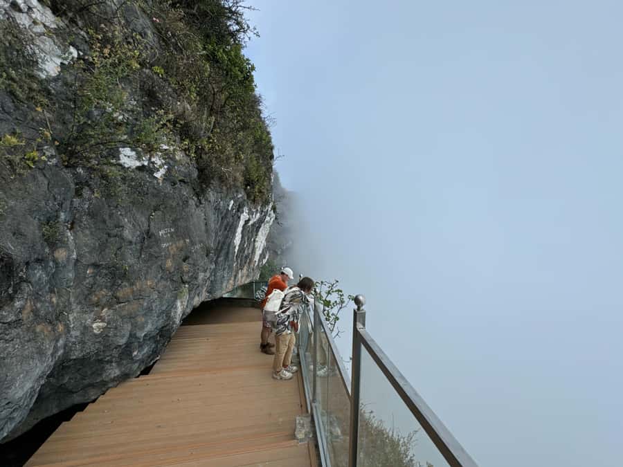 West Salalah Highlights: Coastal Wonders & Scenic Views - Who should book this West Salalah tour?
