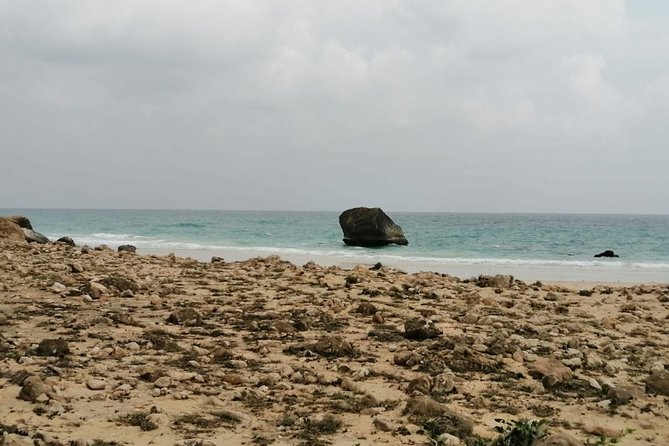 Where Sea Meets Rock: A Scenic Journey to West Salalah’s Shores - Marneef Blowholes provide the tour’s liveliest moment