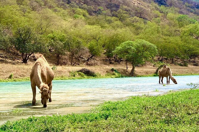 Your Salalah Tour-Your German speaking tour provider/mountain tour - Jabal Samhan: the tour’s main mountain moment